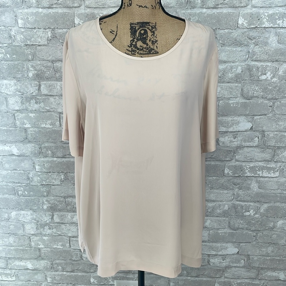 Persona Blush Sheer Blouse